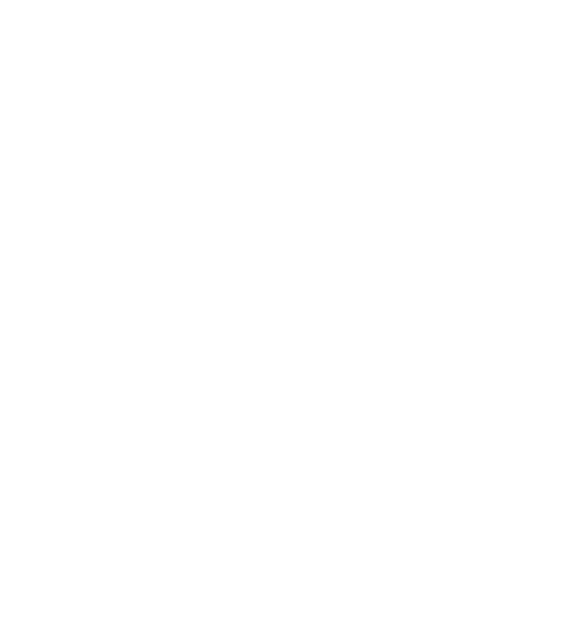 Osprey Flight Solutions Logo